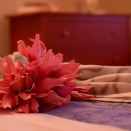 Ai Quarti Sottani 4*